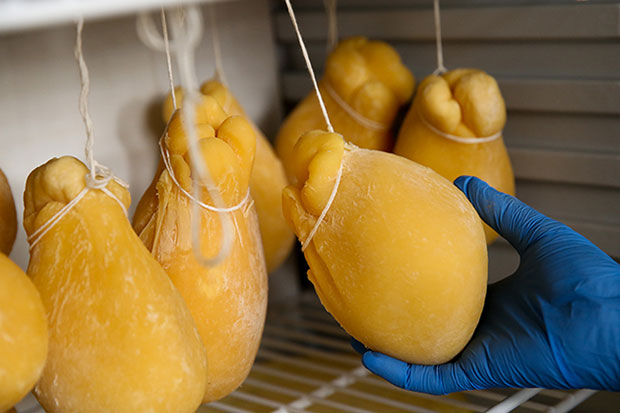 遗传到安妮莎对奶酪的爱,她的儿子可以拿着这个马背奶酪(Caciocavallo)当做苹果般咬着吃。-Choo Choy May摄-