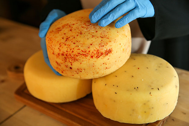 加上小辣椒干或孜然粉的奶酪,你有兴趣尝试吗?-Choo Choy May摄-