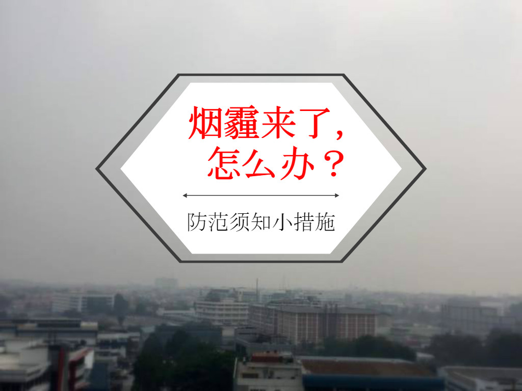 Cincai News