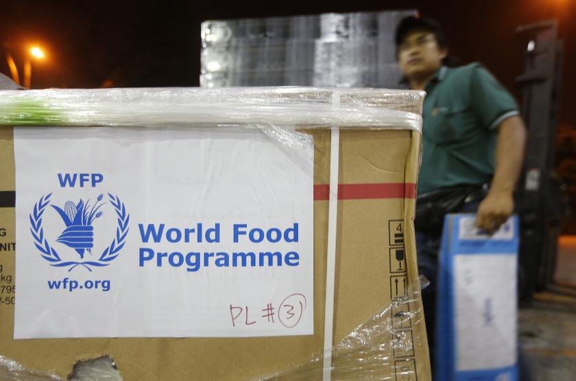 A worker stands near World Food Programme (WFP) relief goods near Subang airport in Kuala Lumpur November 10, 2013, to be sent to victims of super typhoon Haiyan in the Philippines. u00e2u20acu201d Reuters pic