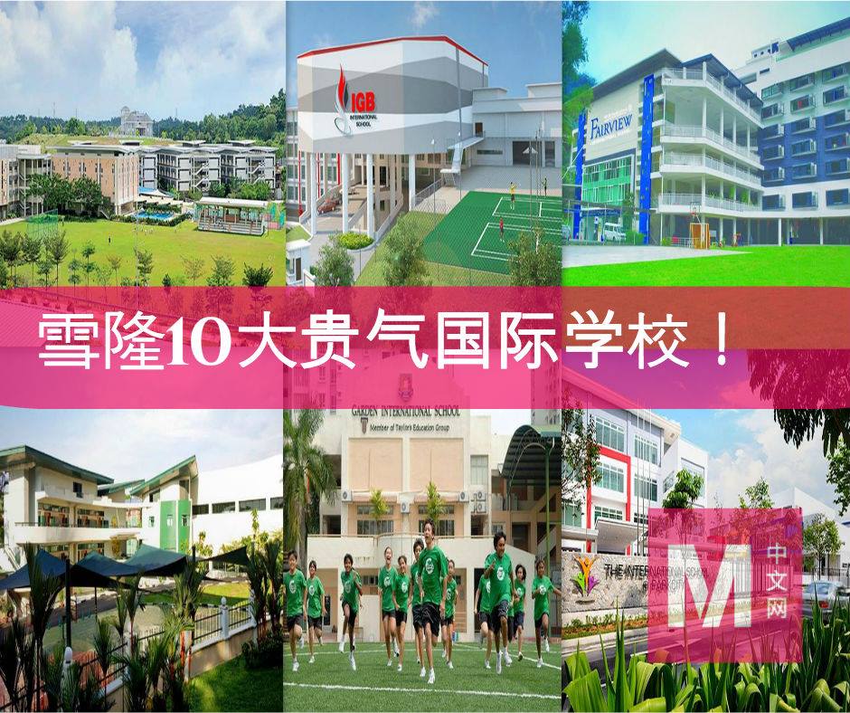 Cincai News